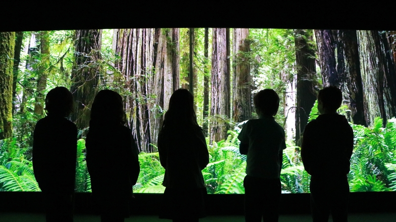 Cool Planet Experience