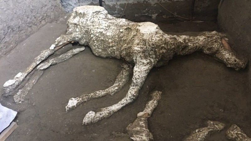 (Courtesy: Pompeii Parco Archeologico)