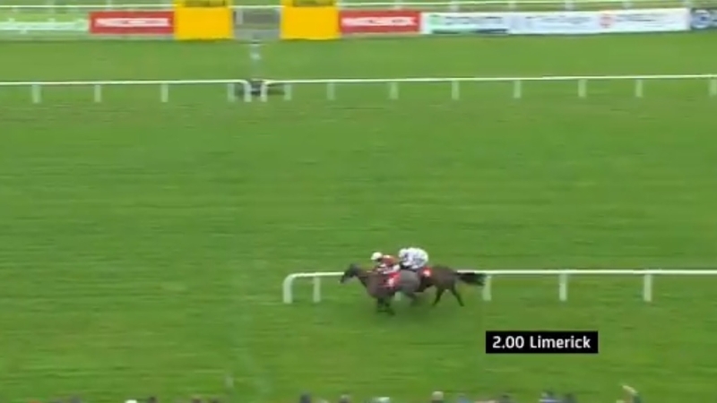 Hardline holds off Getabird in Limerick