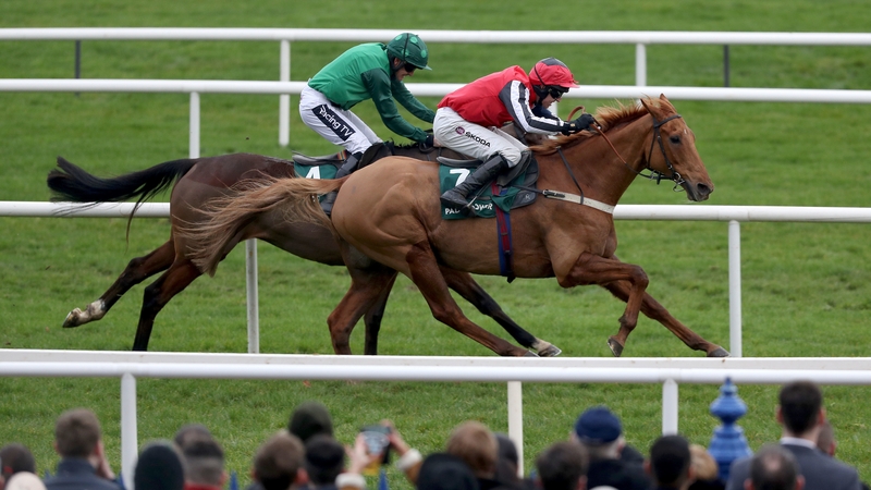 Simply Ned chances of making it to Cheltenham are still in the balance