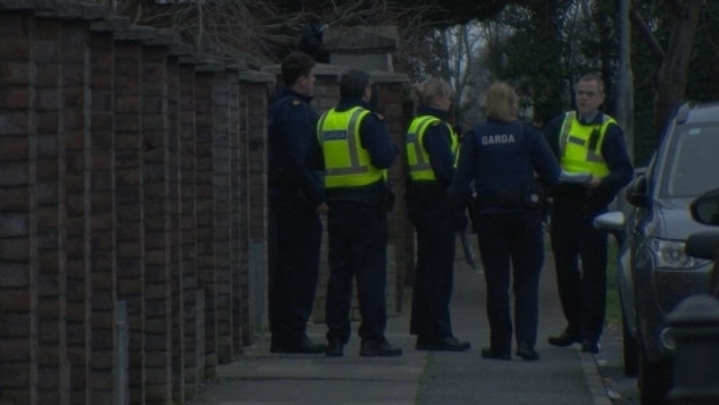 The incident happened at Ballyowen Lane between 11pm and midnight