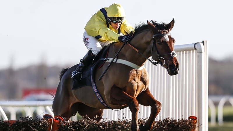 Lostintranslation was a 3-1 shot for his latest Grade Two assignment