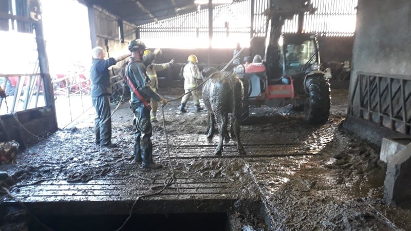 A range of specialist crews from across Northern Ireland attended the incident (Images courtesy NIFRS West Facebook)
