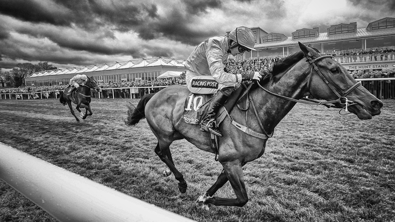 Un De Sceaux was a "once in a lifetime horse", according to Willie Mullins