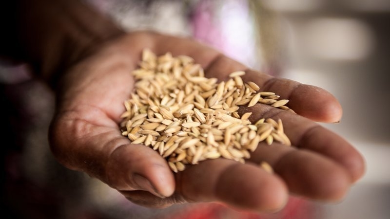 In Ethiopia, rapid economic growth and substantial public investment in agriculture, social services and infrastructure have resulted in rural poverty falling