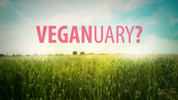 Veganuary- An fiú é a dhéanamh?