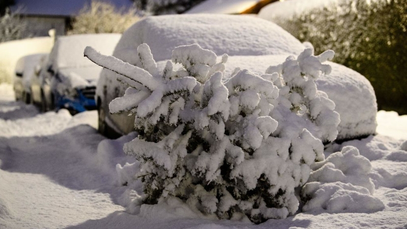 A scrapped Christmas tree and cars are covered by freshly fallen snow in Munich, southern Germany