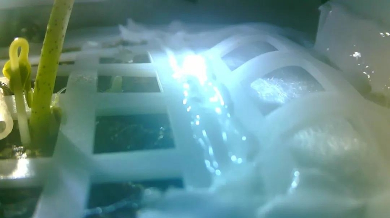 (Courtesy: Chongqing University)