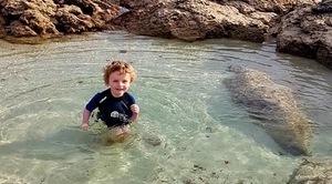 Rock Pool - Thing 2