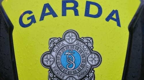 Gardaí in Loughrea are appealing for any witnesses to contact them