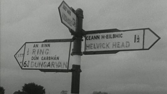 An Rinn