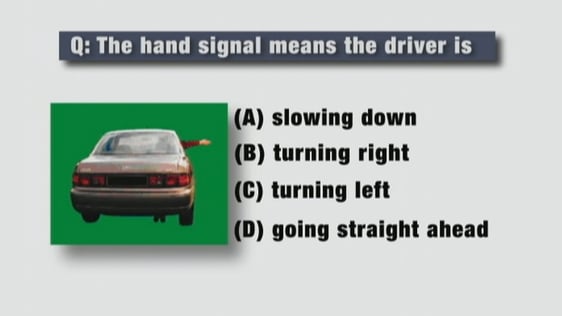 Driver Theory Test (2009)