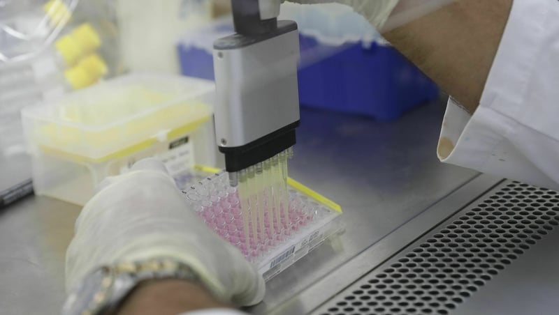 CLS provides sampling, testing and analysis to over 600 firms