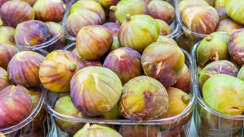 The Control of Economic Activity (Occupied Territories) Bill was initiated in the Seanad last year