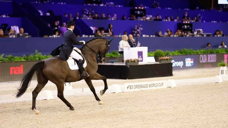 Reynolds and Vancouver K in action in the Netherlands