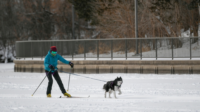 Chloe Adams went for a ski run with her dog Roscoe as wind chills reached -34C in Minneapolis