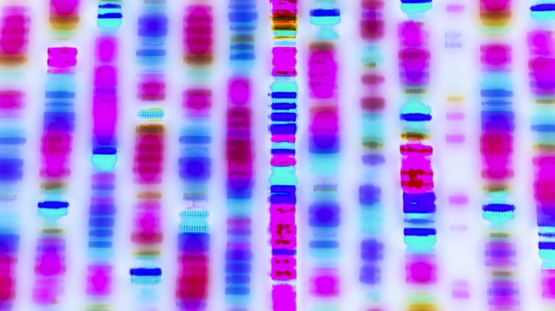 "Our DNA is not only human and up to 8% of it came from viruses"