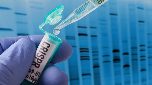 "CRISPR is faster, simpler to use and cheaper than other gene editing techniques"