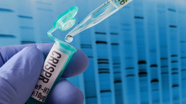 "CRISPR is faster, simpler to use and cheaper than other gene editing techniques"