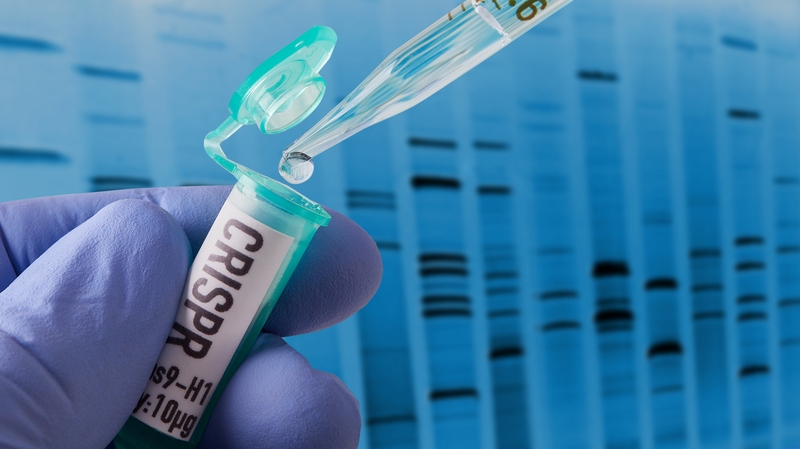 "CRISPR is faster, simpler to use and cheaper than other gene editing techniques"