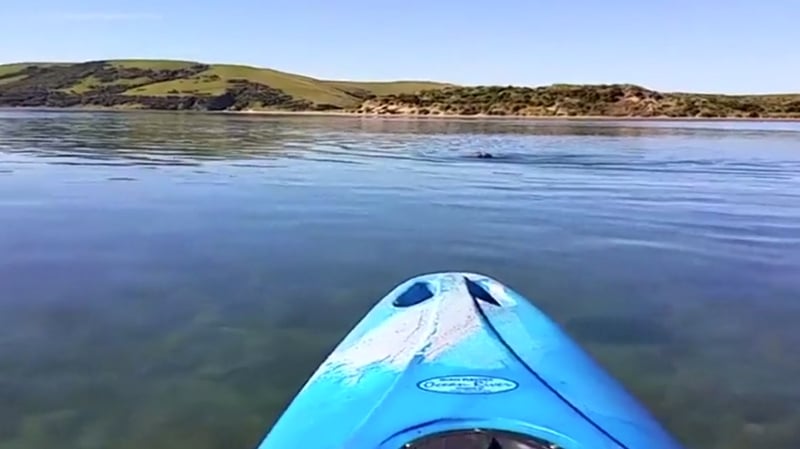 The footage showed someone kayaking in Porpoise Bay, New Zealand