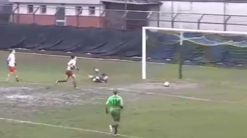 Stephanie Roche's effort stopped dead just before the line