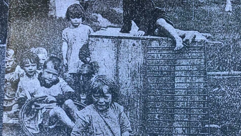 Scéalta pearsanta leanaí Thuama le hinseacht