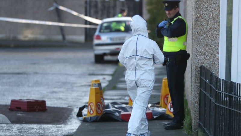 Gardaí would like to speak to motorists with dash cams who were in the area at the time