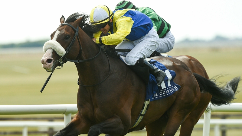 Band Of Outlaws shone at Naas