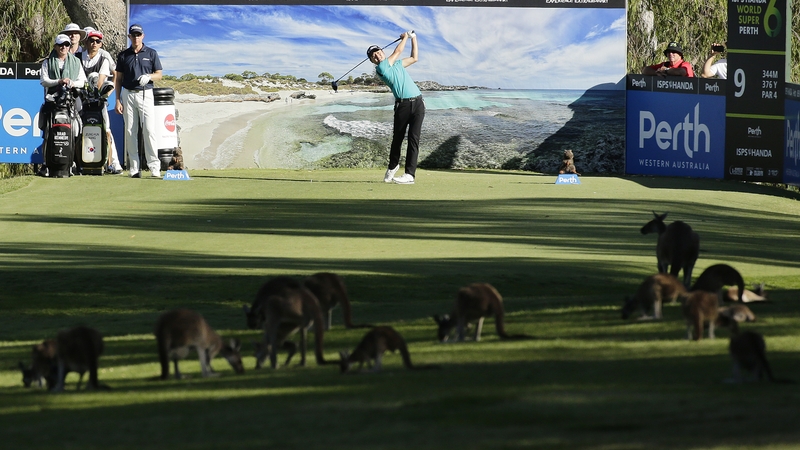 Jeunghun Wang of Korea plays his tee shot on the ninth hole in the company of several wallabies