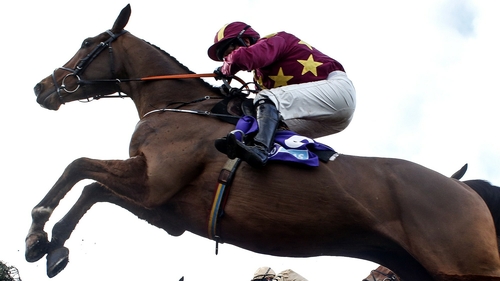 Monalee looks likely to go in the Cheltenham Gold Cup