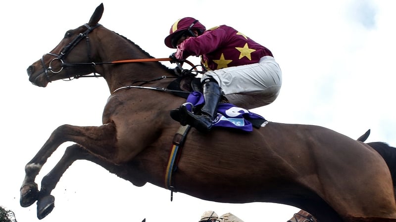 Monalee impressed at Gowran Park