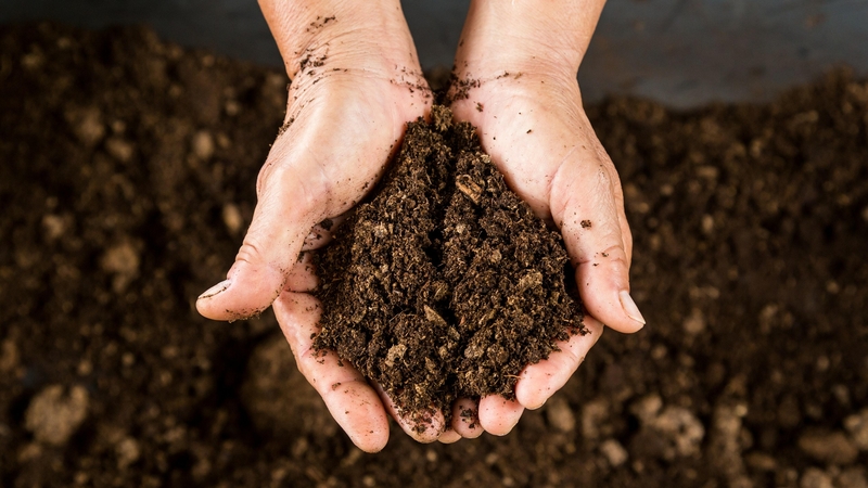 No time or room to make your own compost? So, how do you choose what's best for you from the wide range in garden centres?