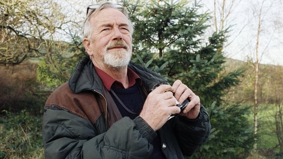 Gerrit van Gelderen (1991)