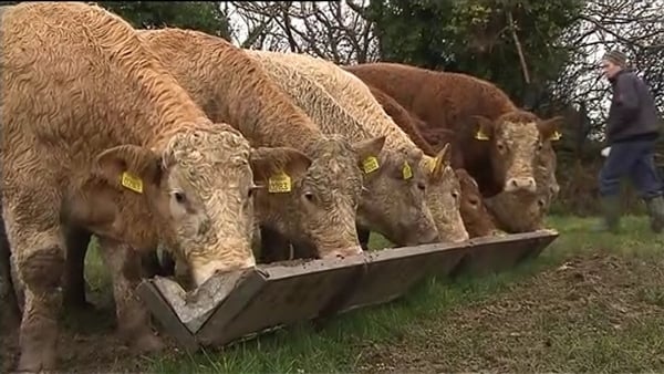 "We need to imagine a time in the future when cows can text you to tell it's time for milking"