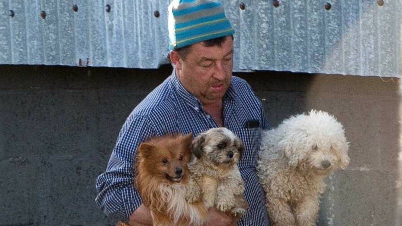 Jim Kavanagh pleaded guilty to 30 charges of animal cruelty (Pic: Irish Mail on Sunday)