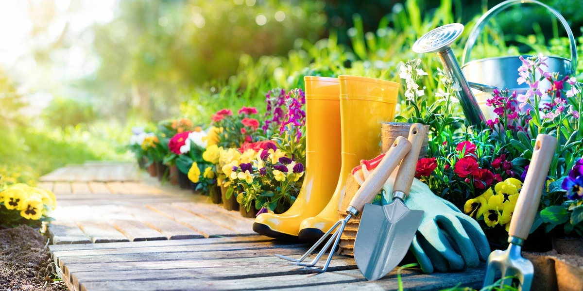  How gardening is impacted by the COVID-19 emergency