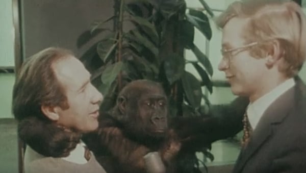 Reporter Michael Walsh went to the Phoenix Park to meet Zookeeper Michael Clark and friends