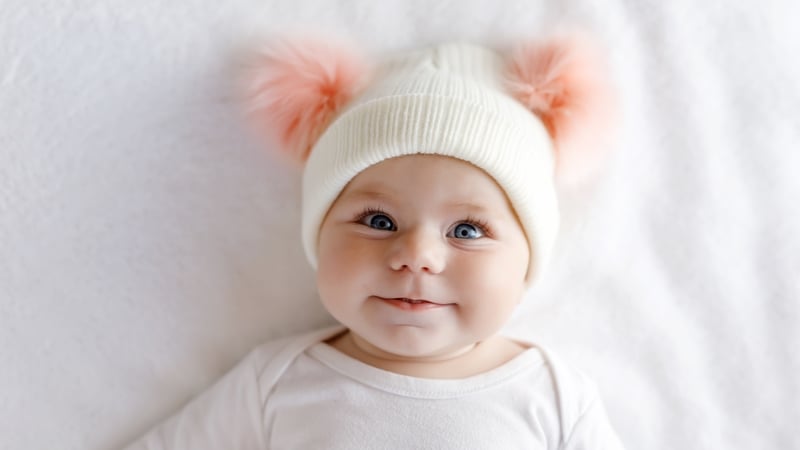 "Appreciation is growing of the role the microbes in our gut play in determining a person's level of susceptibility to stress"