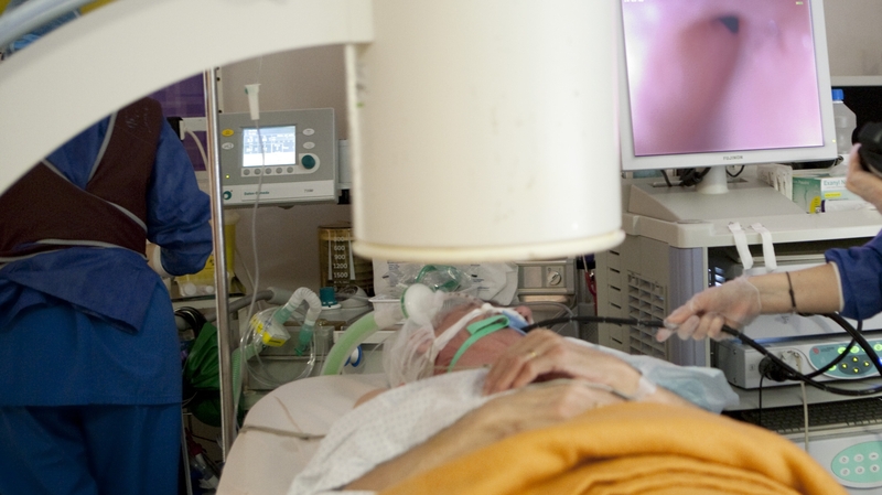 Four-hundred and fifty new cases of this cancer are diagnosed each year