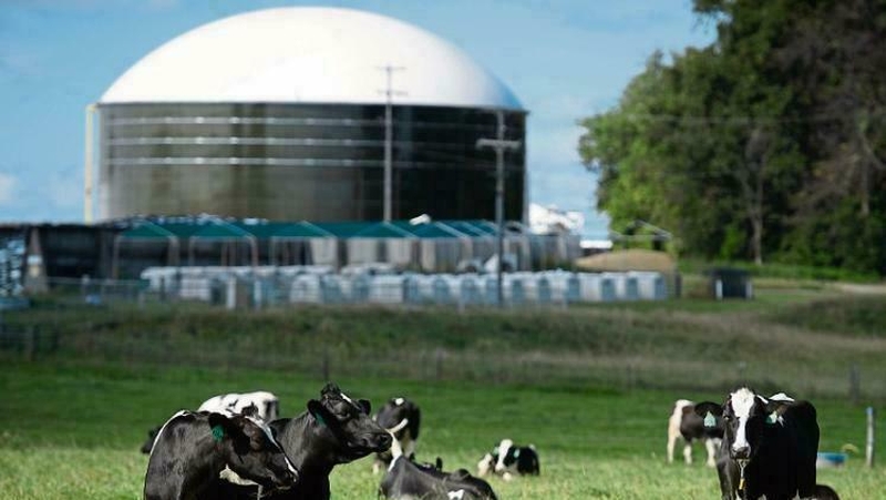 Imní faoi mhéadú ar mhonarcha i nDún na nGall