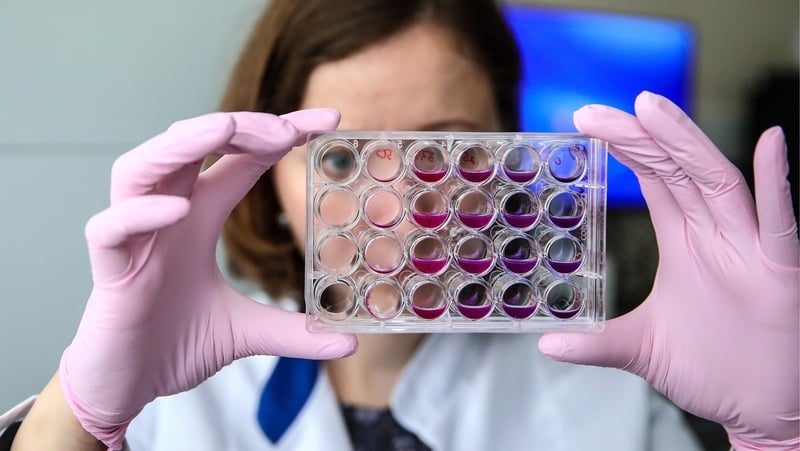 "Implantable biomaterials are plastics that can be placed into the human body for medicinal or physiological benefit" Photo: Valery Sharifulin\TASS via Getty Images