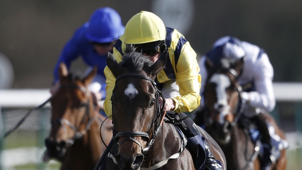 Danny Brock during a previous ride at Lingfield