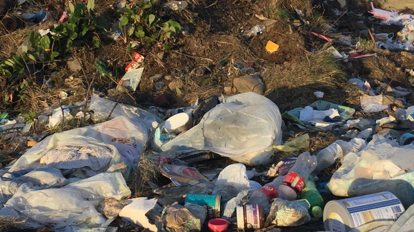 Dublin City Council said there have been criminal convictions over illegal dumping