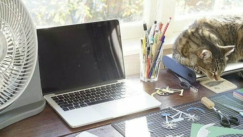 More than 200,000 people work remotely, from home or from a hub, in Ireland