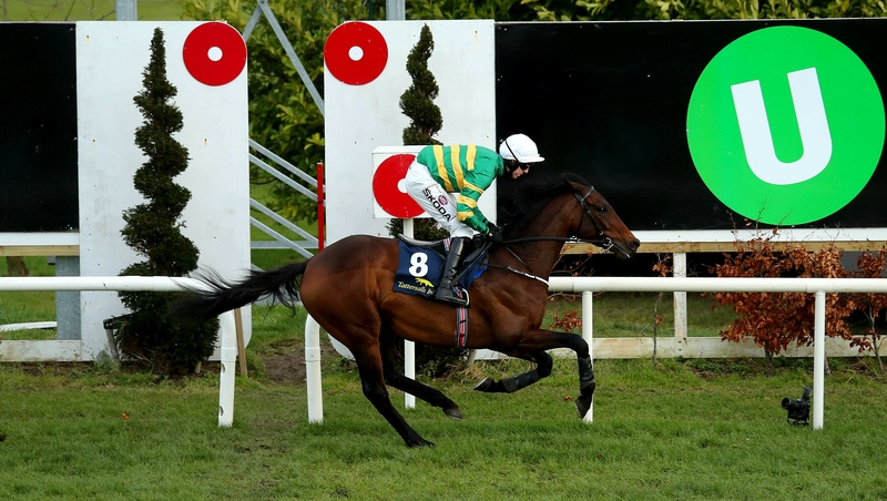 Mark Walsh partnered Sir Erec to win The Tattersalls Ireland Spring Juvenile Hurdle at the recent Dublin Racing Festival