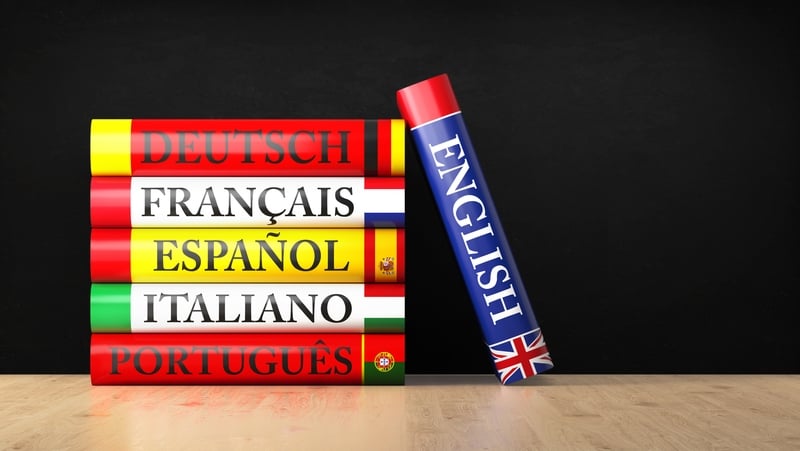 "Like everything else right now, Brexit inevitably lurks in the background of language question" Photo: iStock