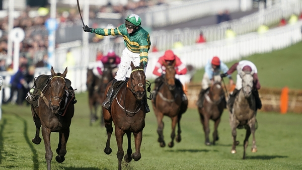 Cheltenham Day One - All the results and reports