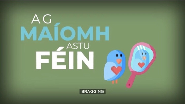 'Molann an t-éan bréan é féin' and other such gems!