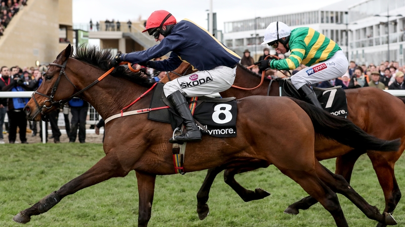 City Island is in fine form